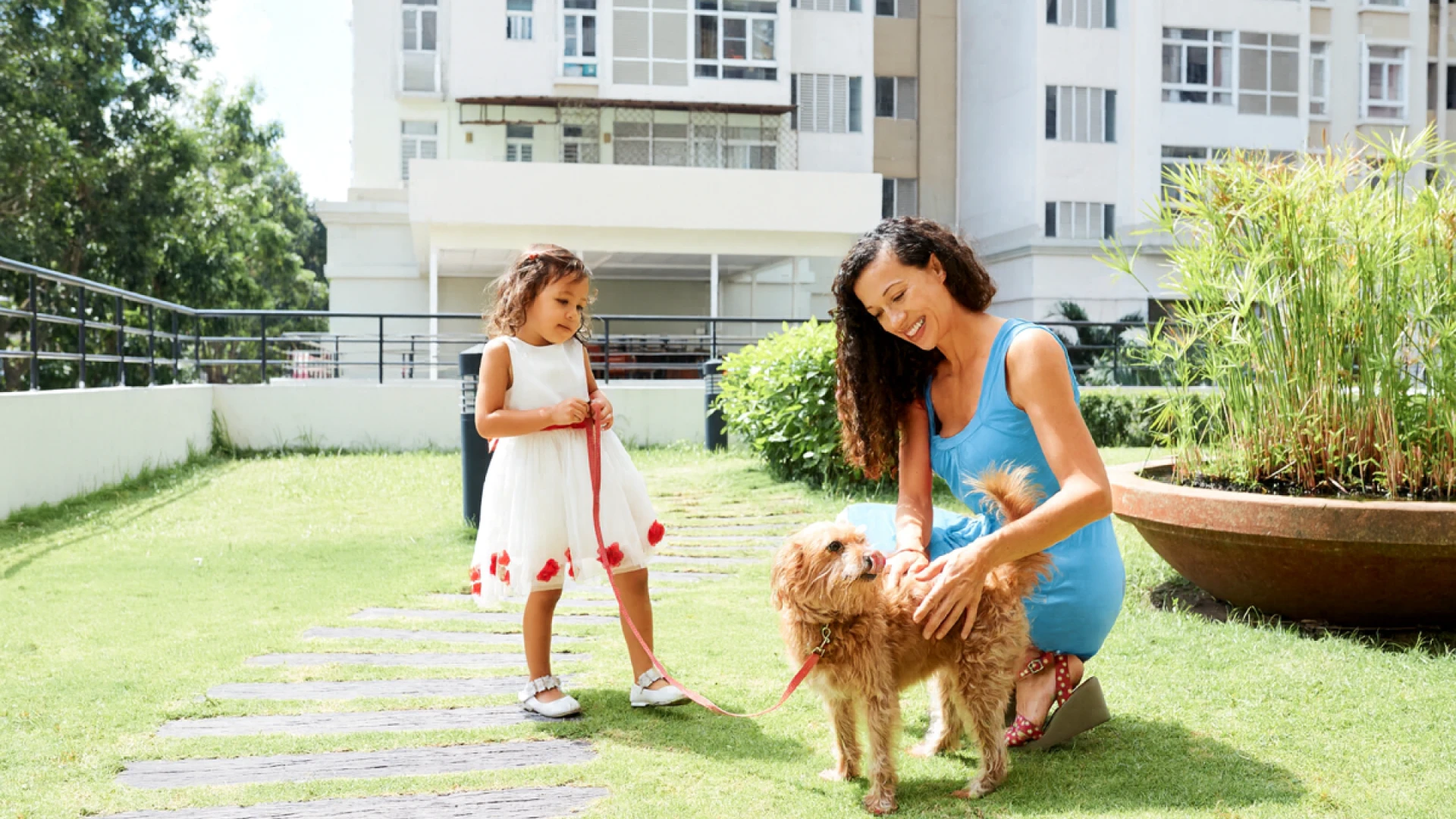 Animais em condomínio: o que pode e o que não pode?